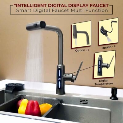 Faucet Rain 11 Digital