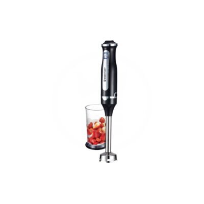 Deluxe Hand Blender WF-9914