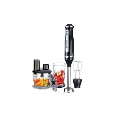 Deluxe Hand Blender 3 in 1 WF-9916
